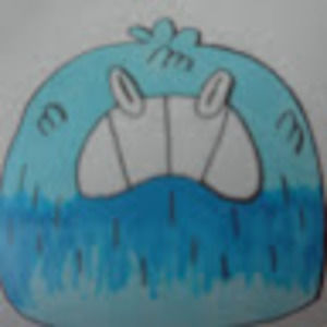 Meet your Posher, Adam